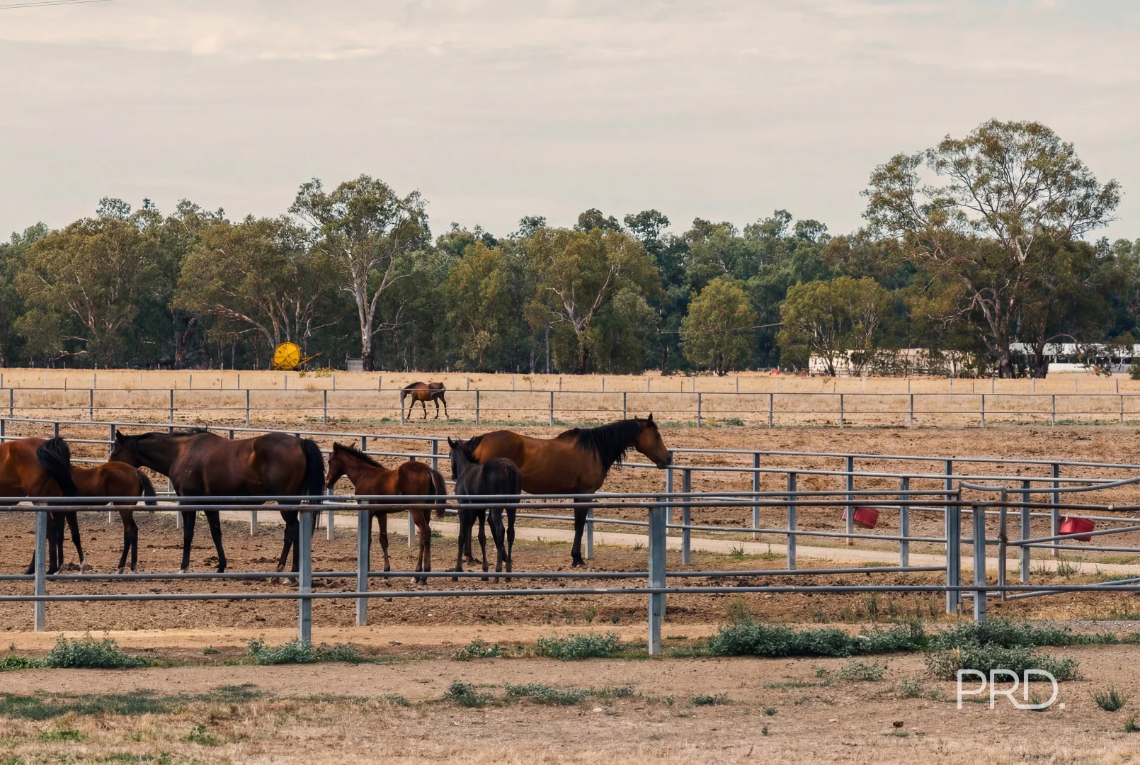 Additional image 12 of 92 Edward Street West, Moorong NSW 2650