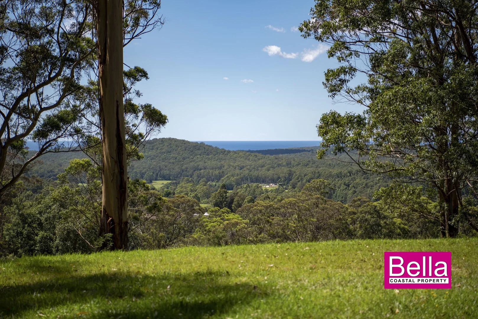 Lot 1 Monkey Mountain Road, Termeil NSW 2539