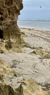 Additional image 32 of 18 Mitchell Street, Horrocks WA 6535