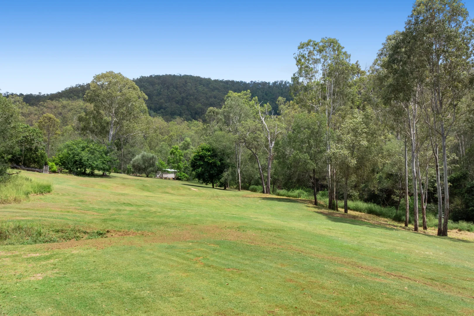 Additional image 8 of 1105 Wild Pig Creek Road, Undullah QLD 4285