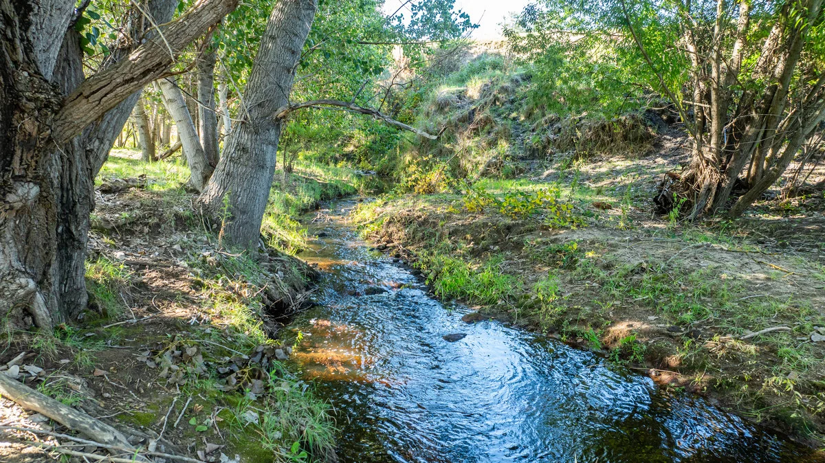 Additional image 21 of 4106 Kiewa Valley Highway, Dederang VIC 3691