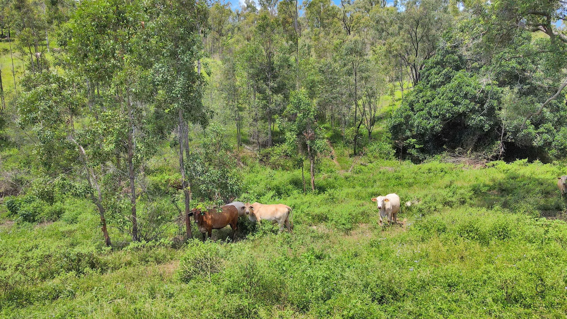 Additional image 13 of Walters Road, New Moonta QLD 4671