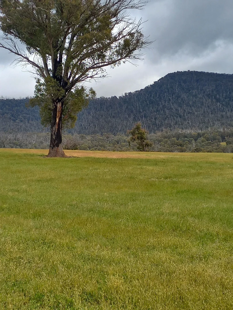 Additional image 3 of Lot 10/714 Yenschs Road, Lankeys Creek NSW 2644