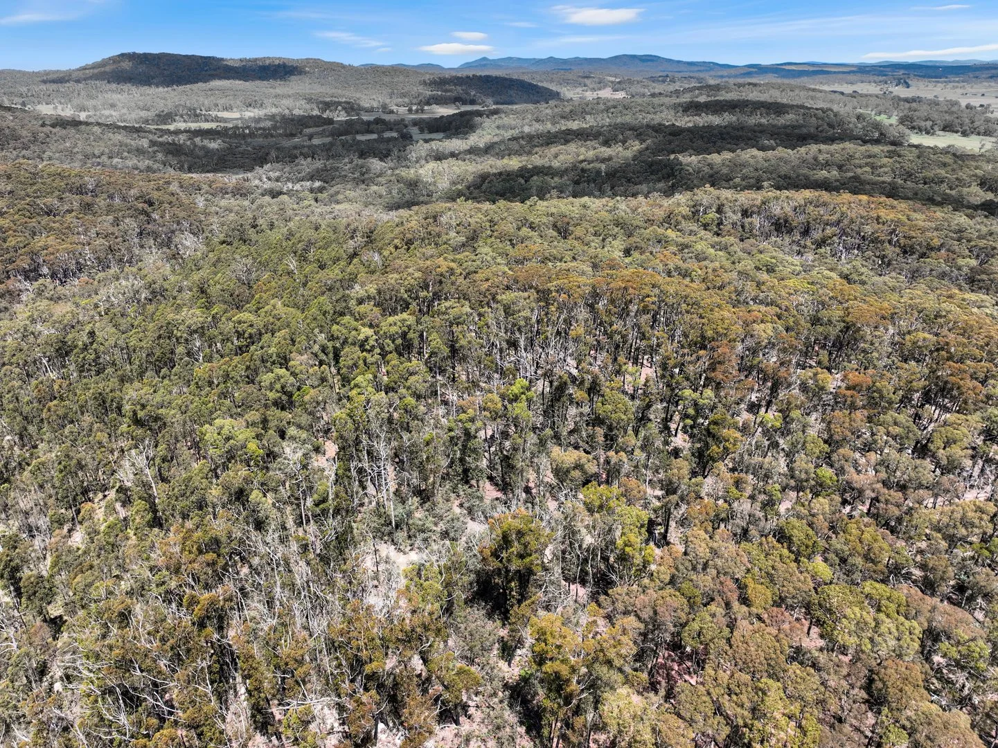 Additional image 27 of Lot 51 Tantawangalo Mountain Road, Cathcart NSW 2632