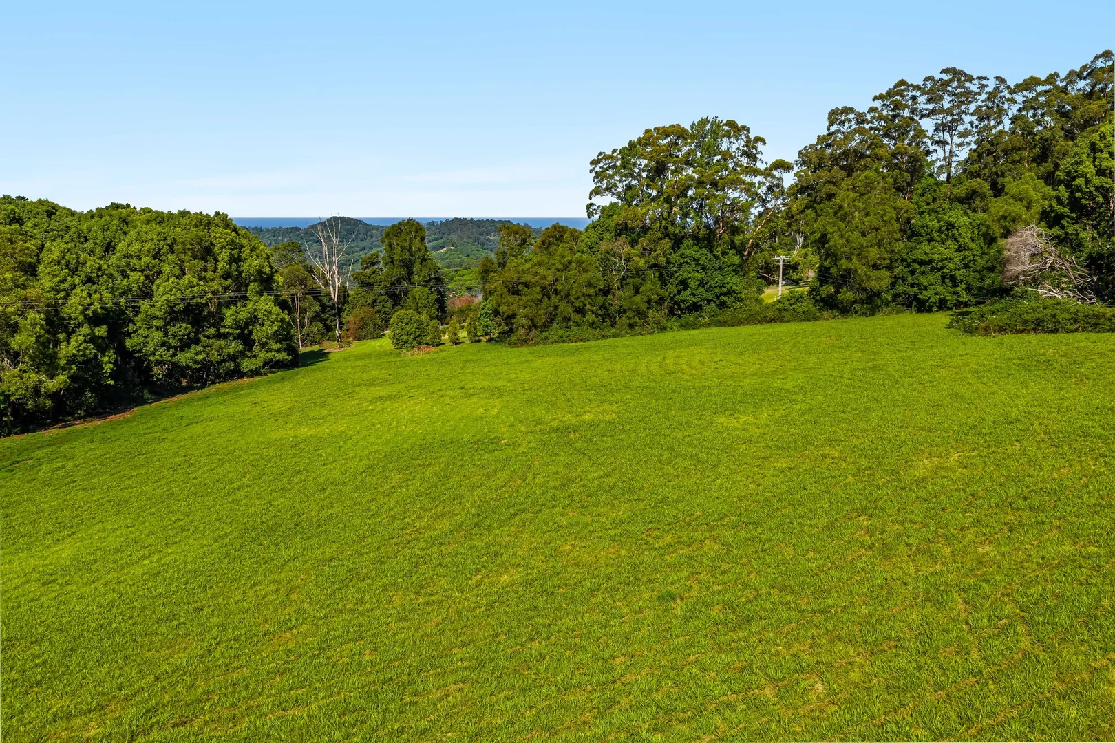 Additional image 13 of 217 Goonengerry Mill Road, Goonengerry NSW 2482