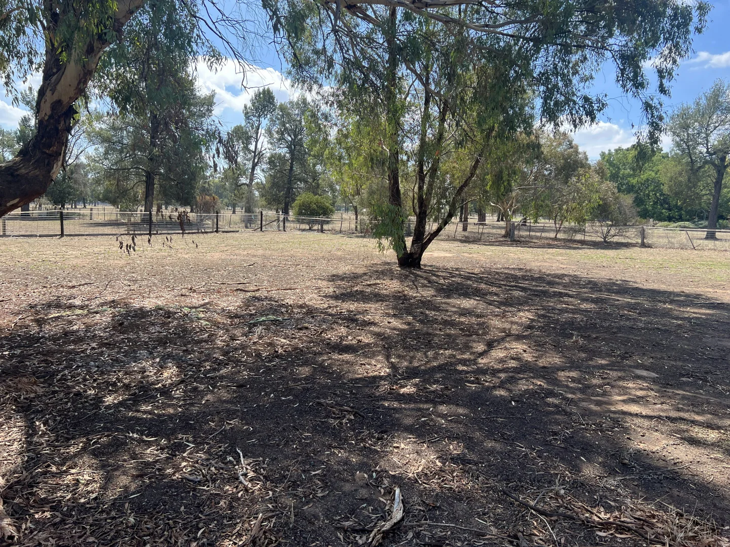 Additional image 21 of 32 Racecourse Road, Berrigan NSW 2712