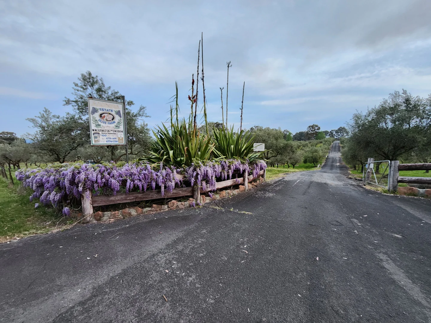 Additional image 56 of 100 Eltons Road, Silverdale NSW 2752