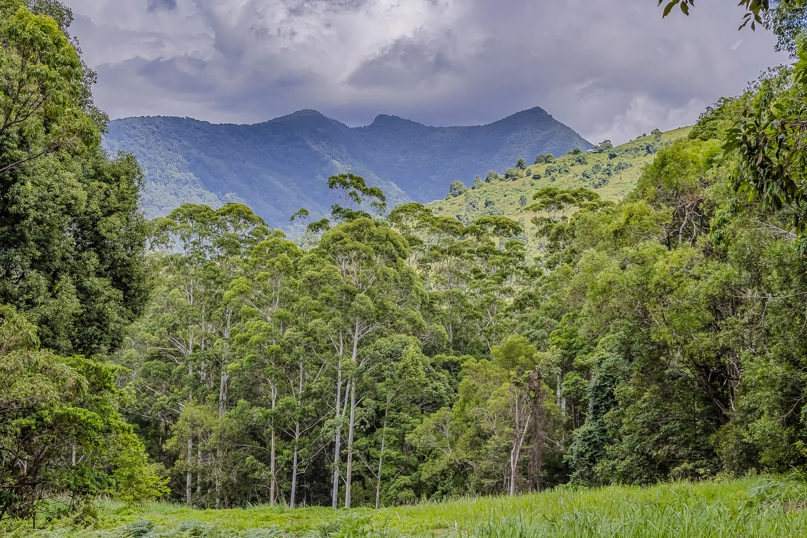 Additional image 16 of 270 Zara Road, Zara NSW 2484