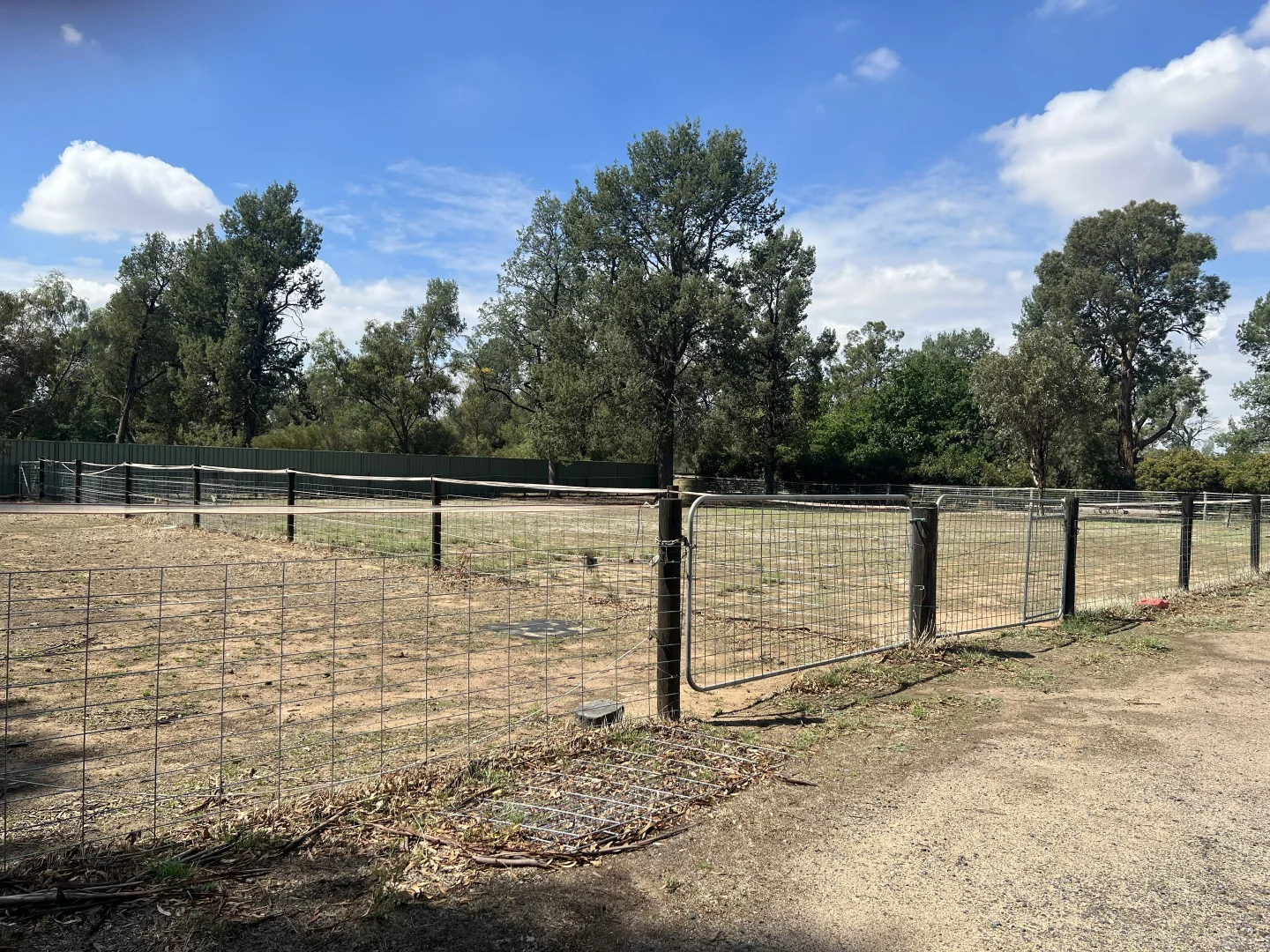 Additional image 22 of 32 Racecourse Road, Berrigan NSW 2712