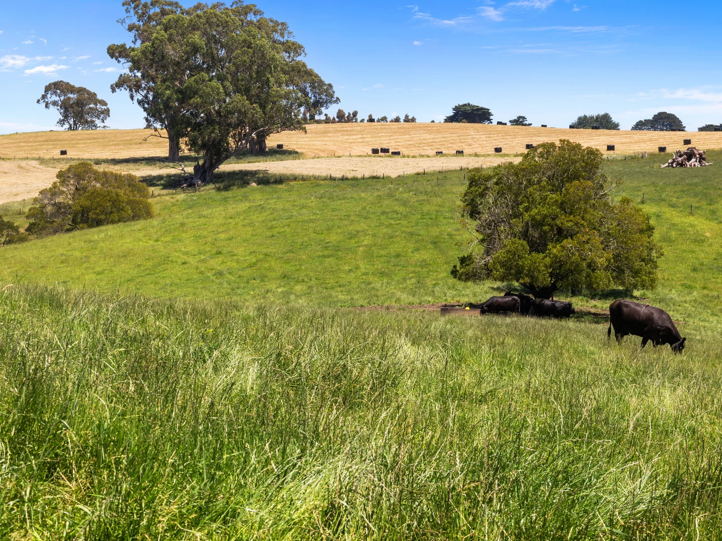 Additional image 8 of 15 Hankinson Court, Mirboo VIC 3871