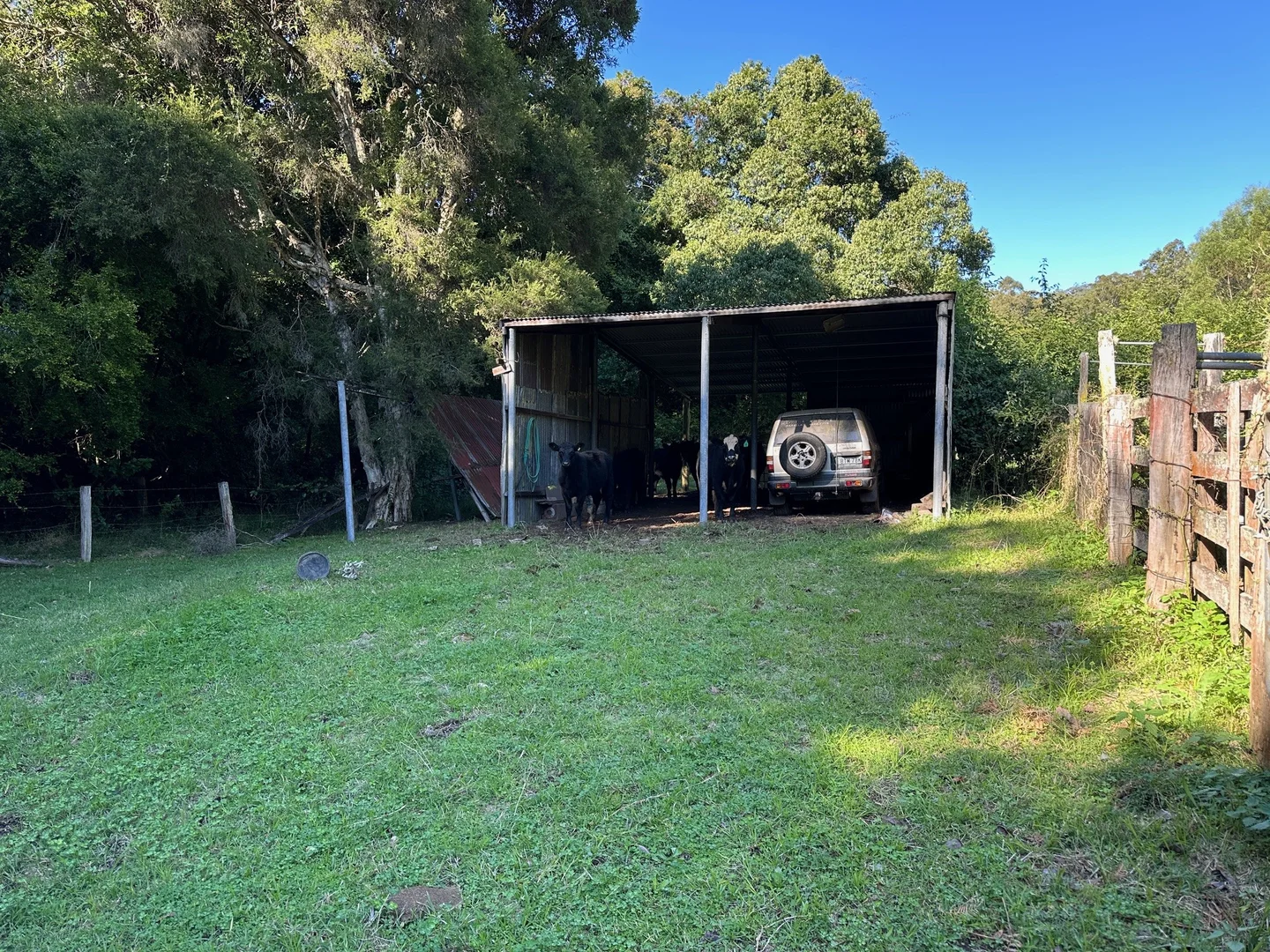 Additional image 20 of 129 Quartpot Creek Road, Dungog NSW 2420