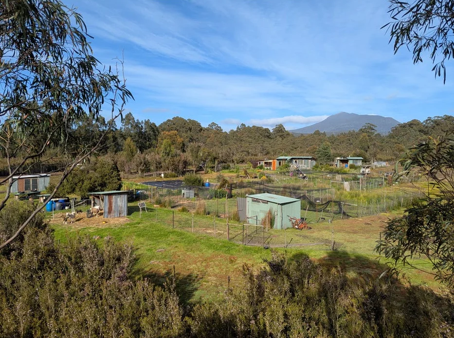 Additional image 9 of Strathblane TAS 7109