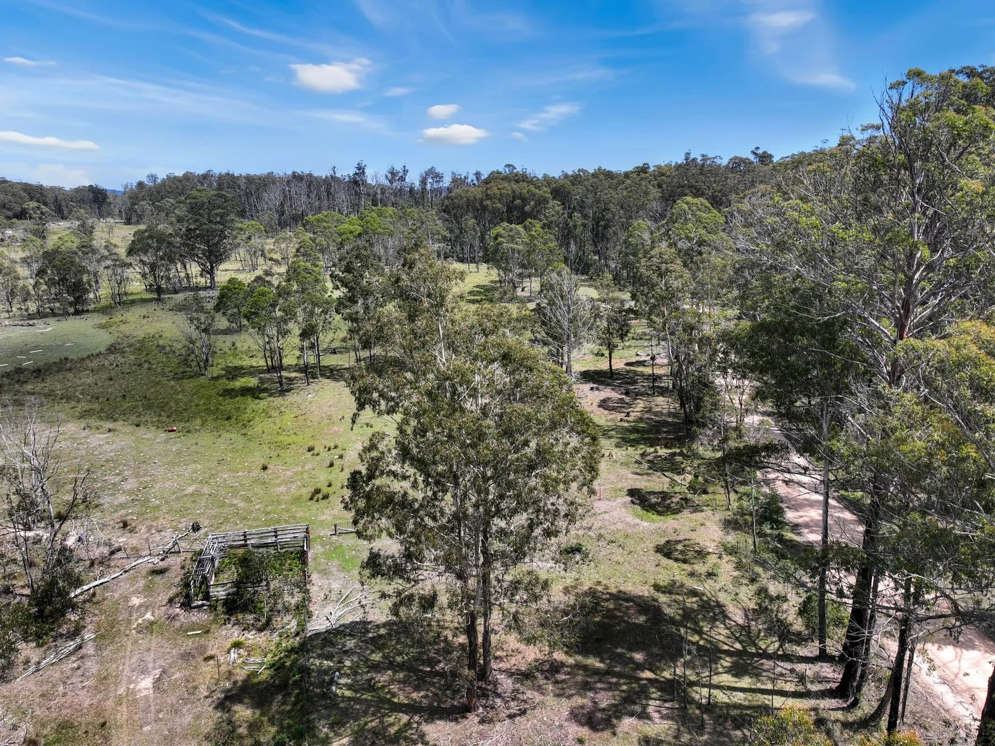 Additional image 22 of Lot 51 Tantawangalo Mountain Road, Cathcart NSW 2632