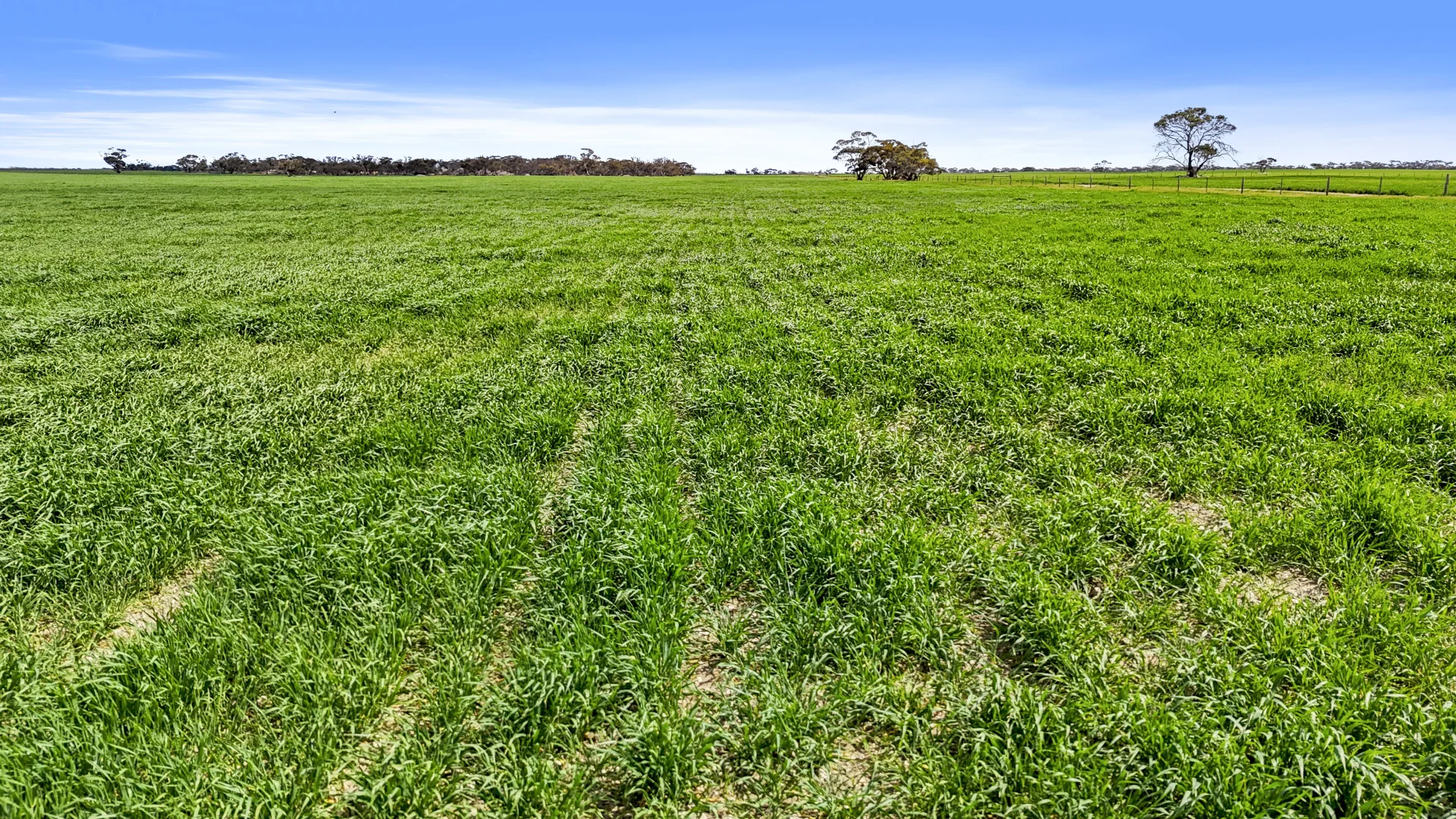 Additional image 5 of 378 Jones Road, Yumali SA 5261