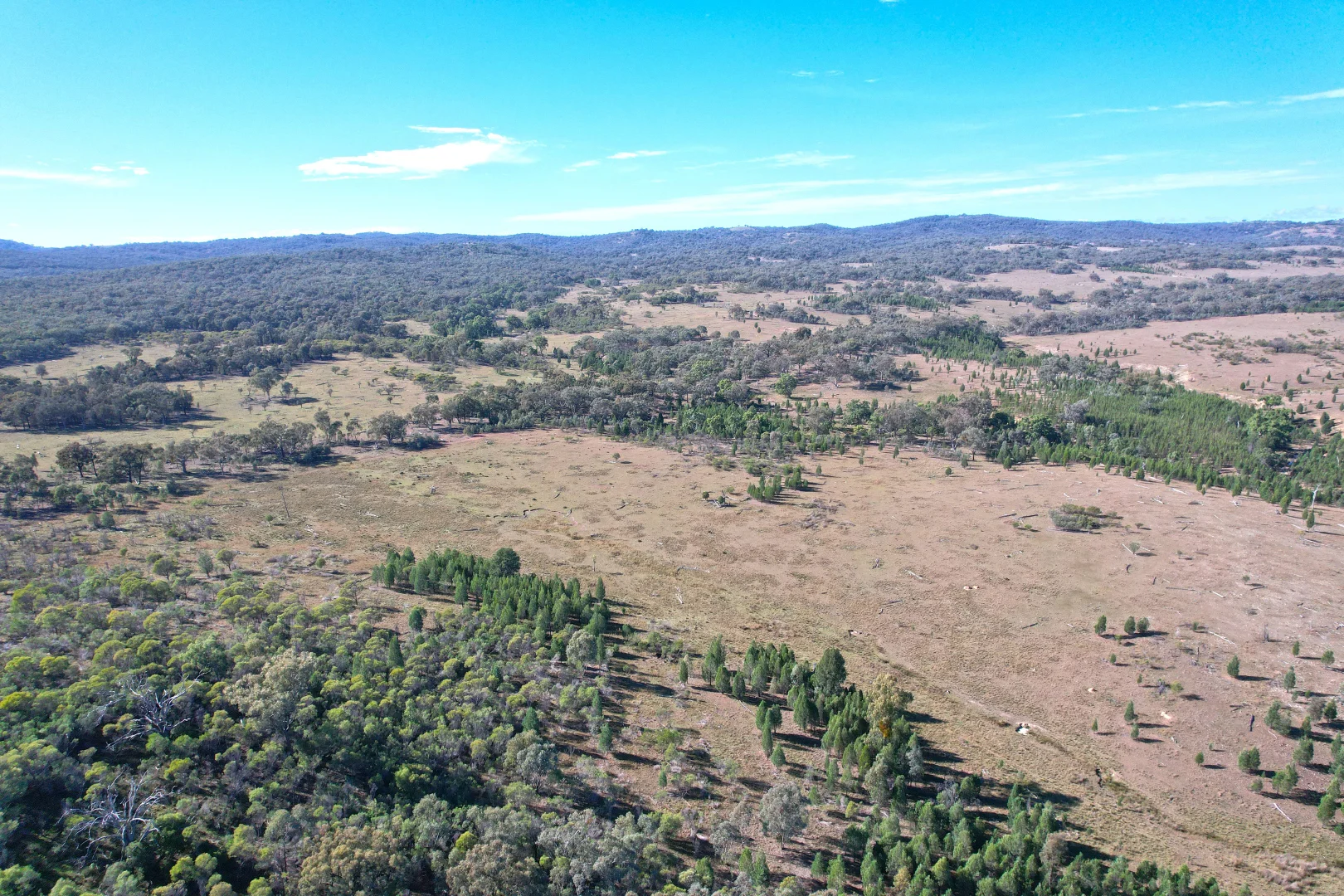 Additional image 13 of Hollybank Road, Inglewood QLD 4387