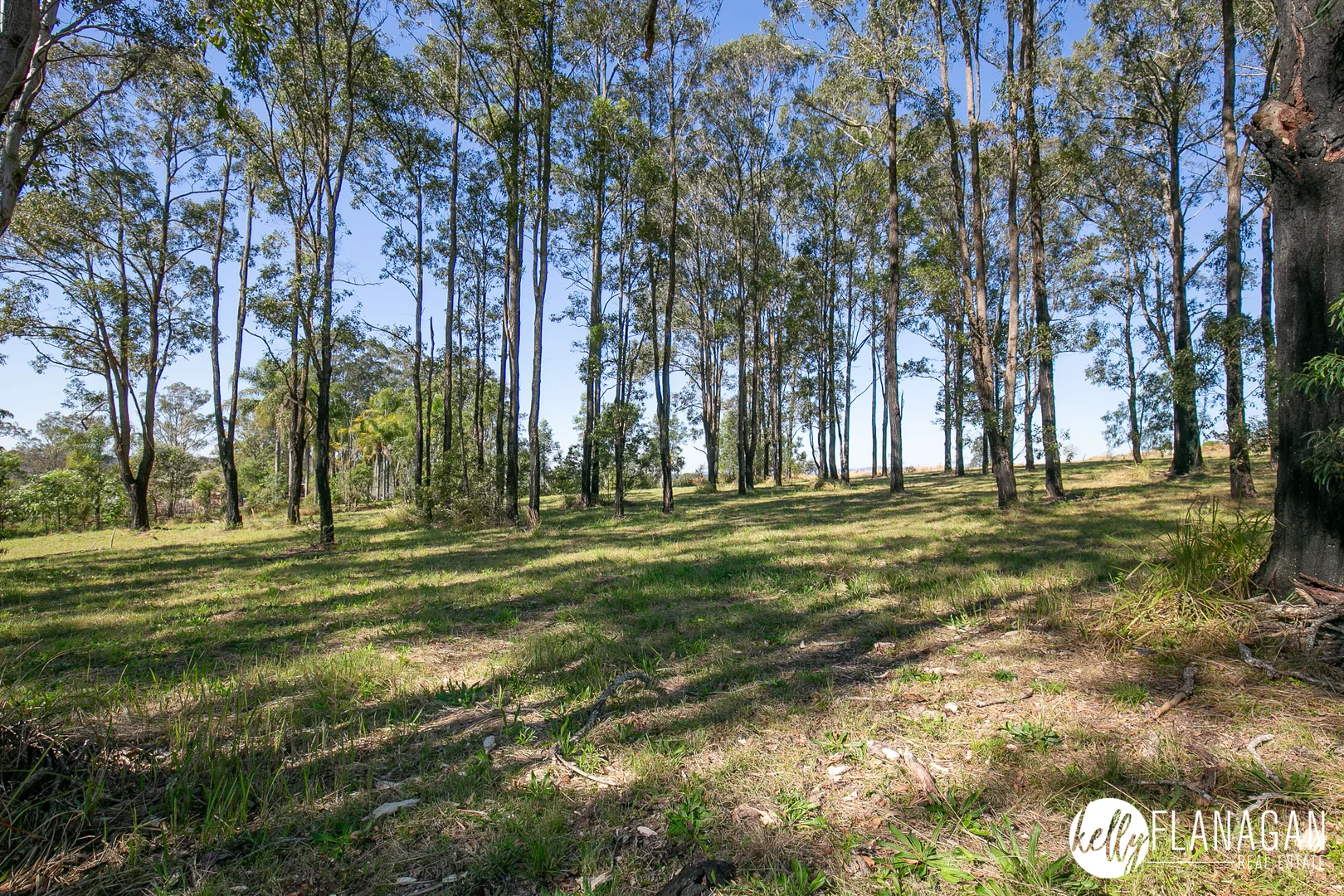 Additional image 19 of 74-76 Main Street, Willawarrin NSW 2440