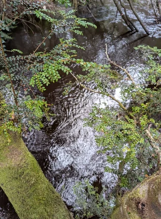 Additional image 17 of Strathblane TAS 7109