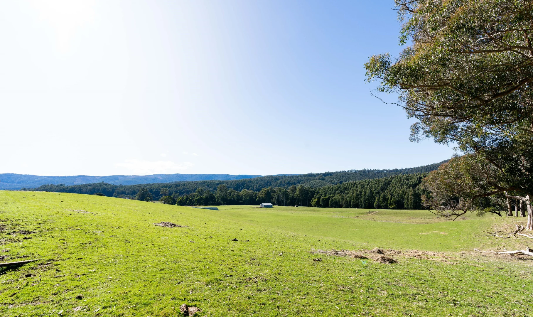 Additional image 29 of Alberton TAS 7263