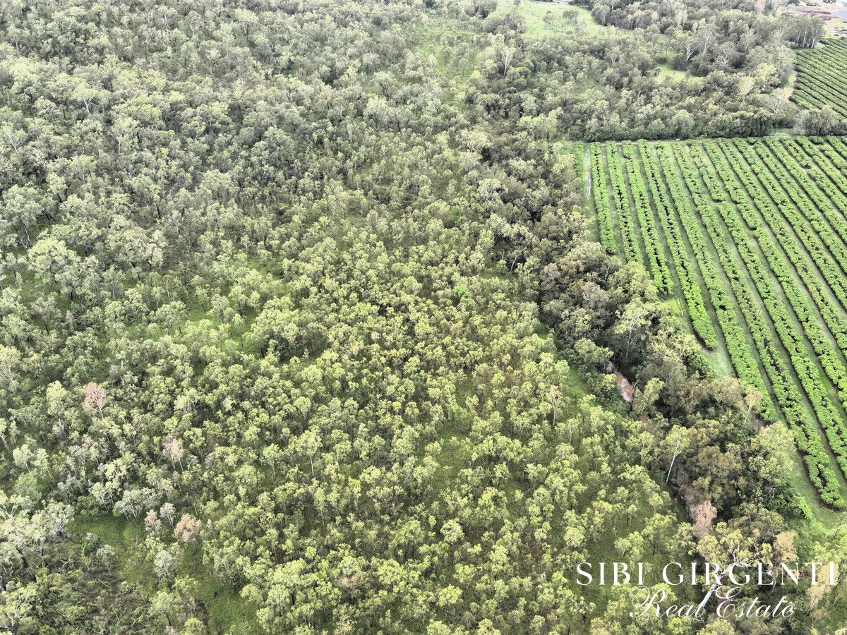 Additional image 4 of 263/71 Gilmore Road, Mareeba QLD 4880