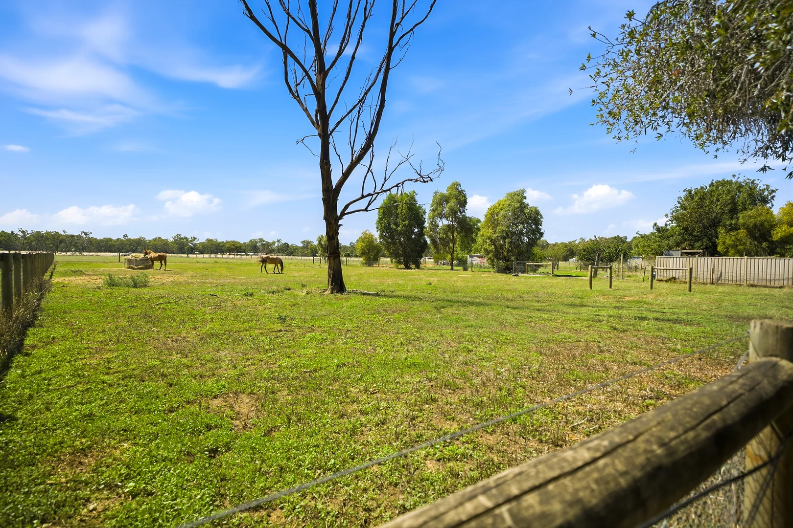 Additional image 14 of 28 Meteorite Street, Murchison VIC 3610