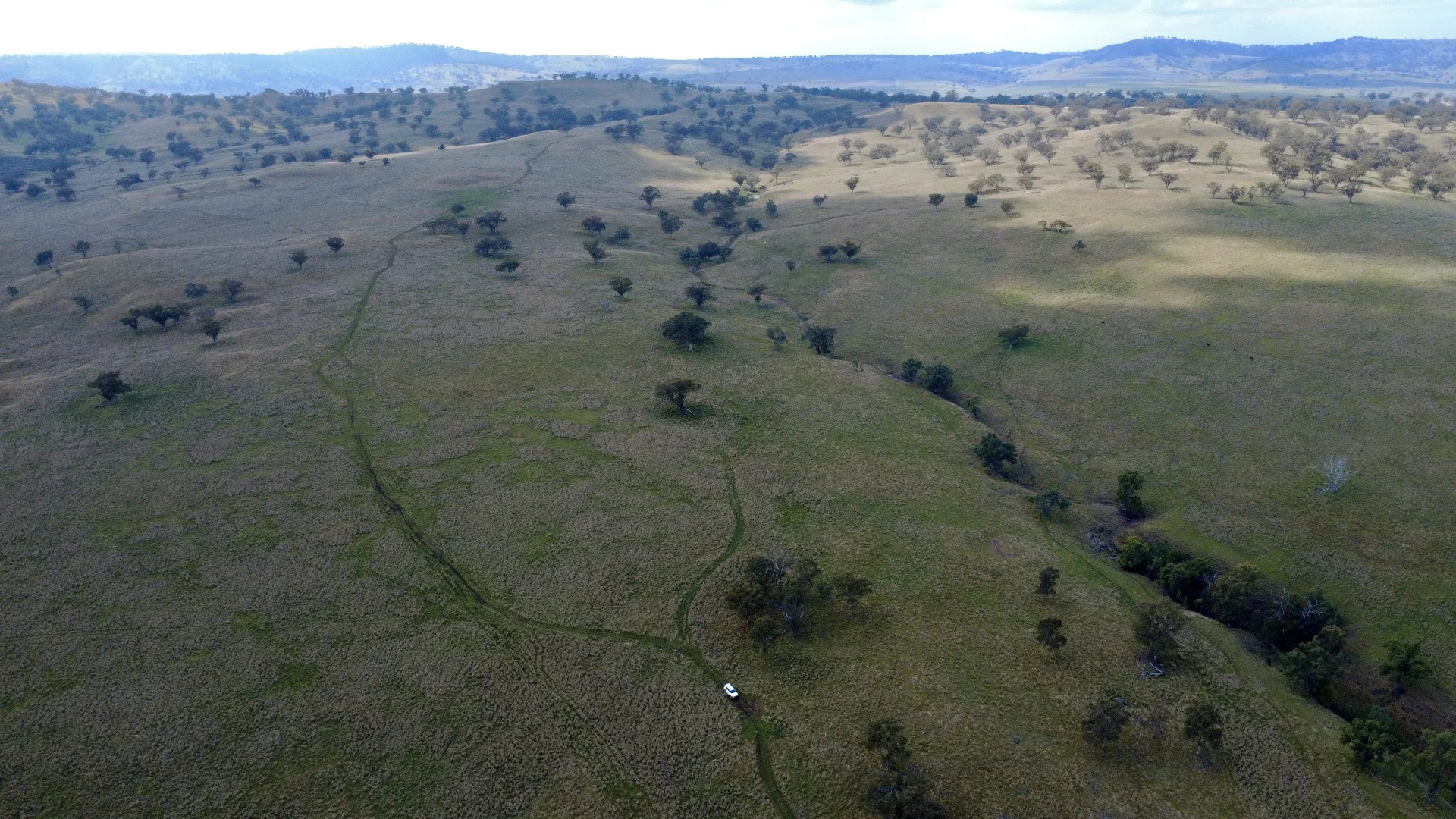 Additional image 9 of 955 "Wirringulla" Coulsons Creek Road, Merriwa NSW 2329