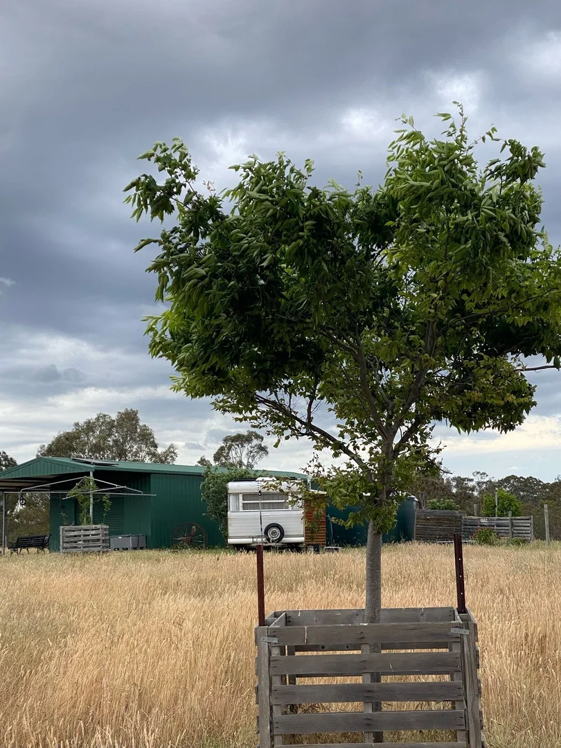 Additional image 7 of 28 Ring Lane, Tooborac VIC 3522