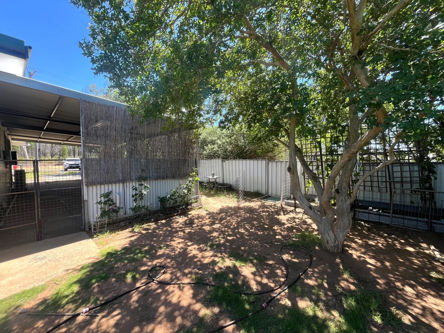 Additional image 16 of 20 Barker Street, Coonabarabran NSW 2357