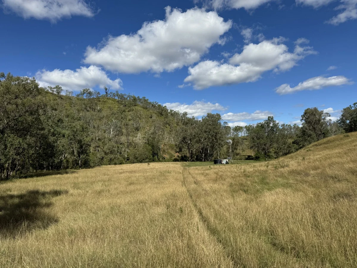 Additional image 2 of 186 Mungungo Creek Road, Monto QLD 4630