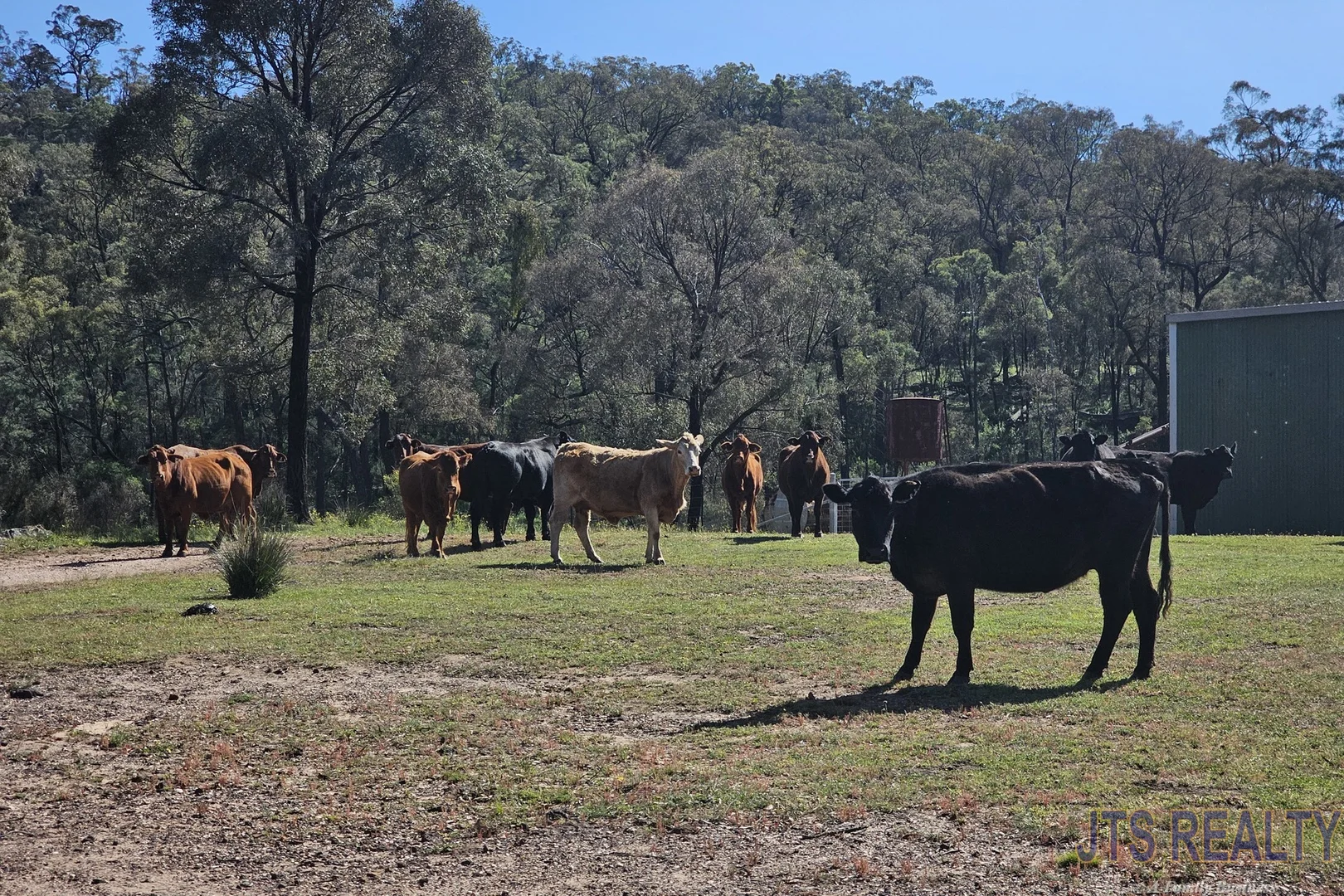 Additional image 7 of 1199 Cullingral Road, Merriwa NSW 2329