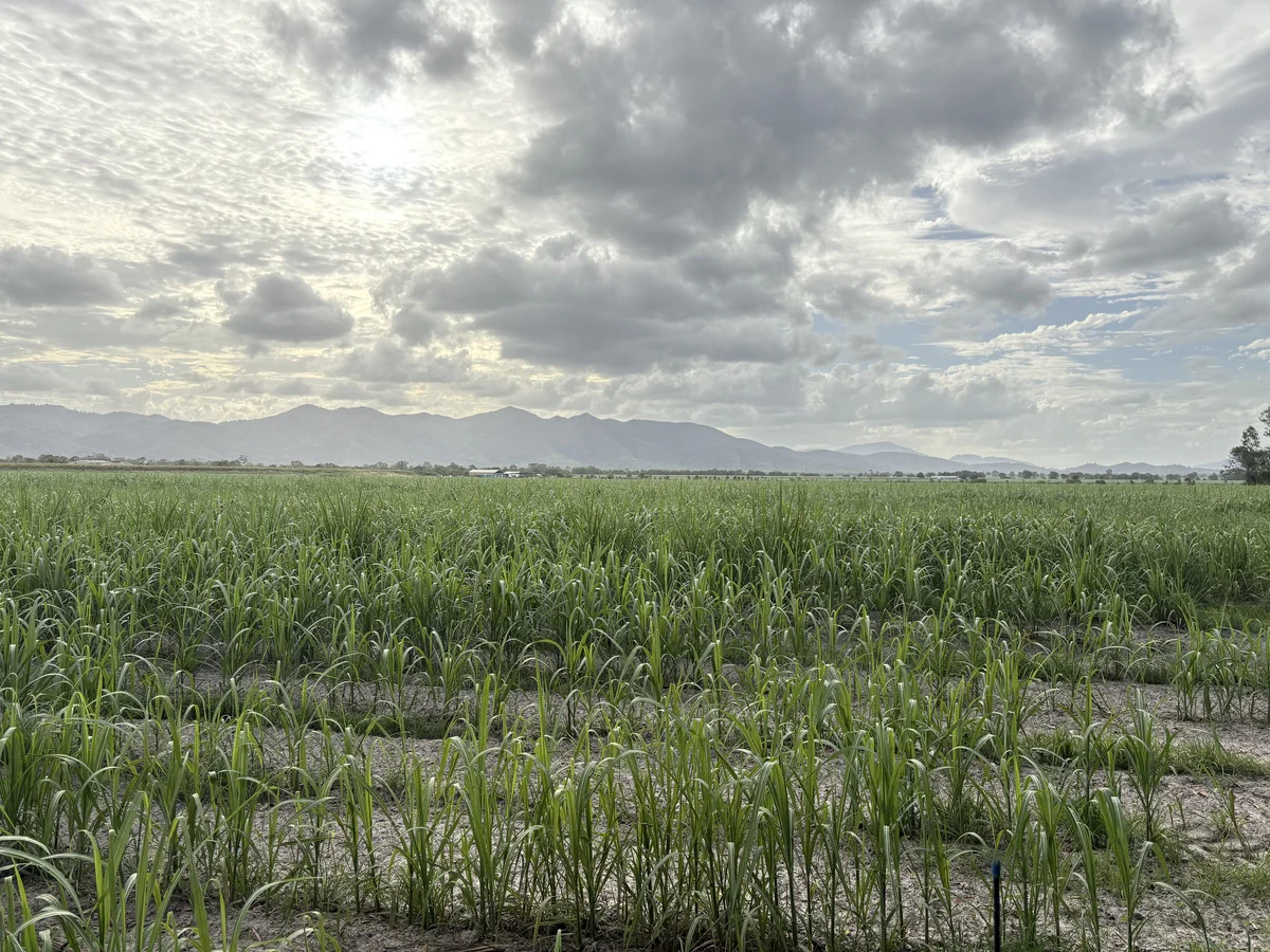 Additional image 11 of 2 Oakenden Sarina Road, Oakenden QLD 4741