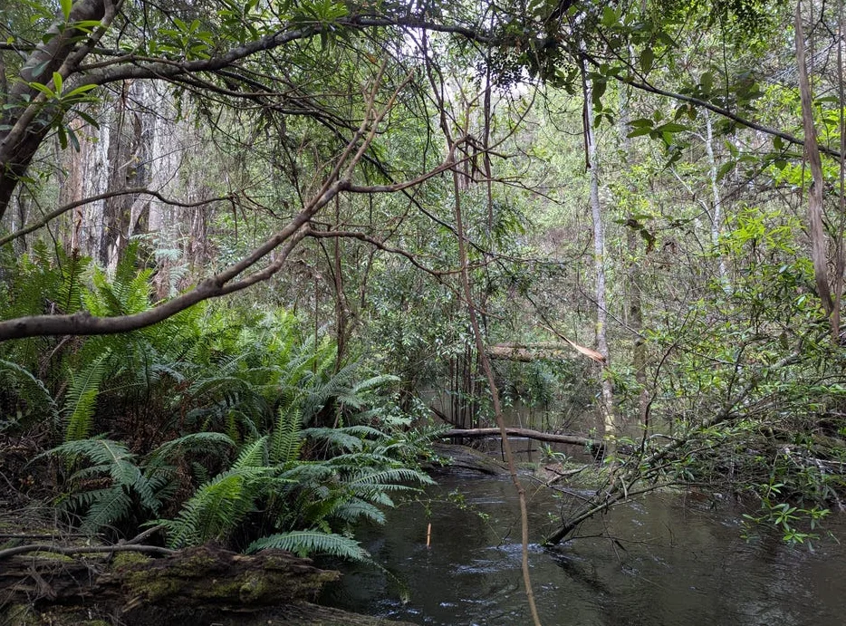 Additional image 16 of Strathblane TAS 7109