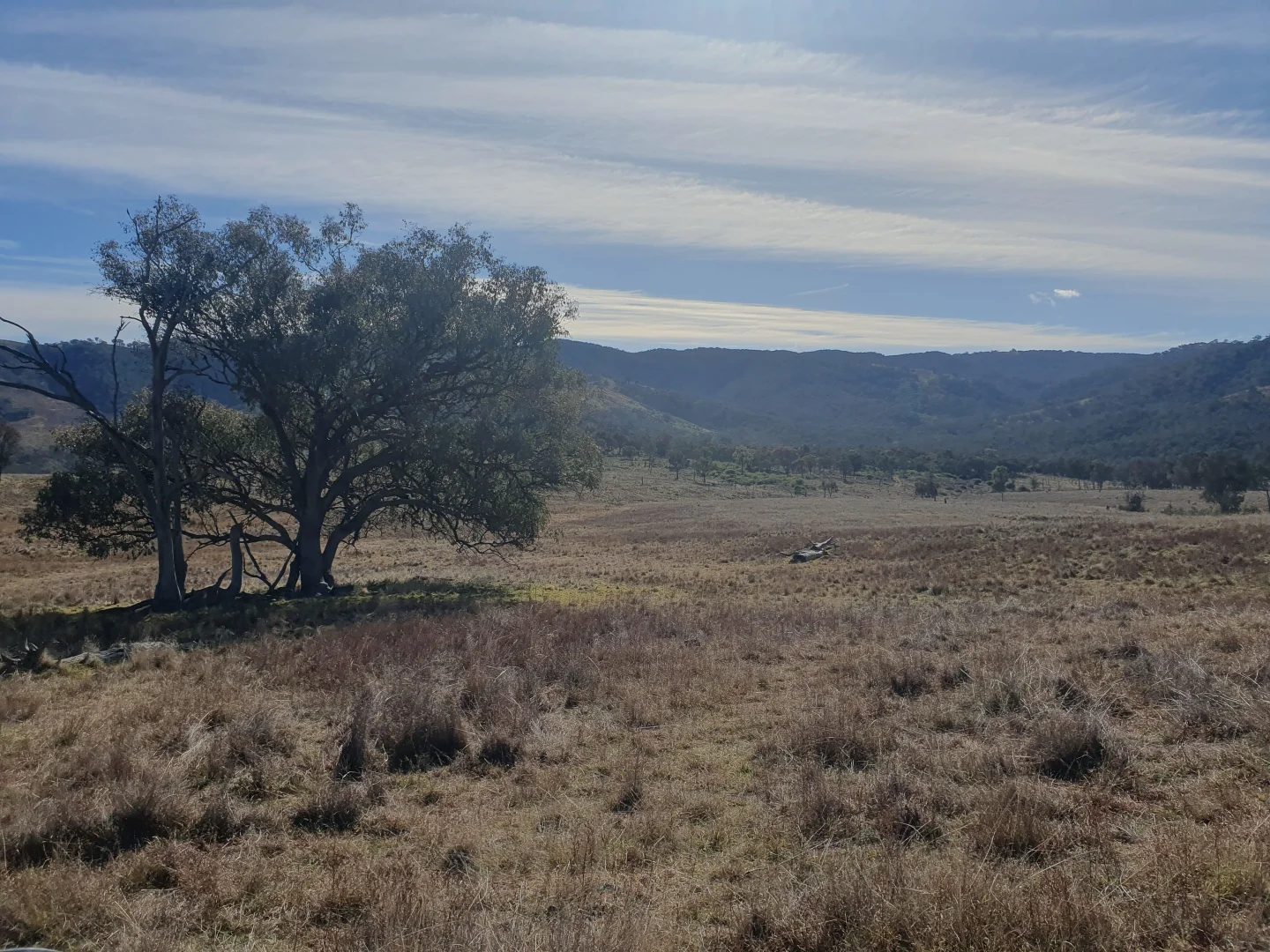 Additional image 11 of 210 Burns Road, Ullamalla, Mudgee NSW 2850