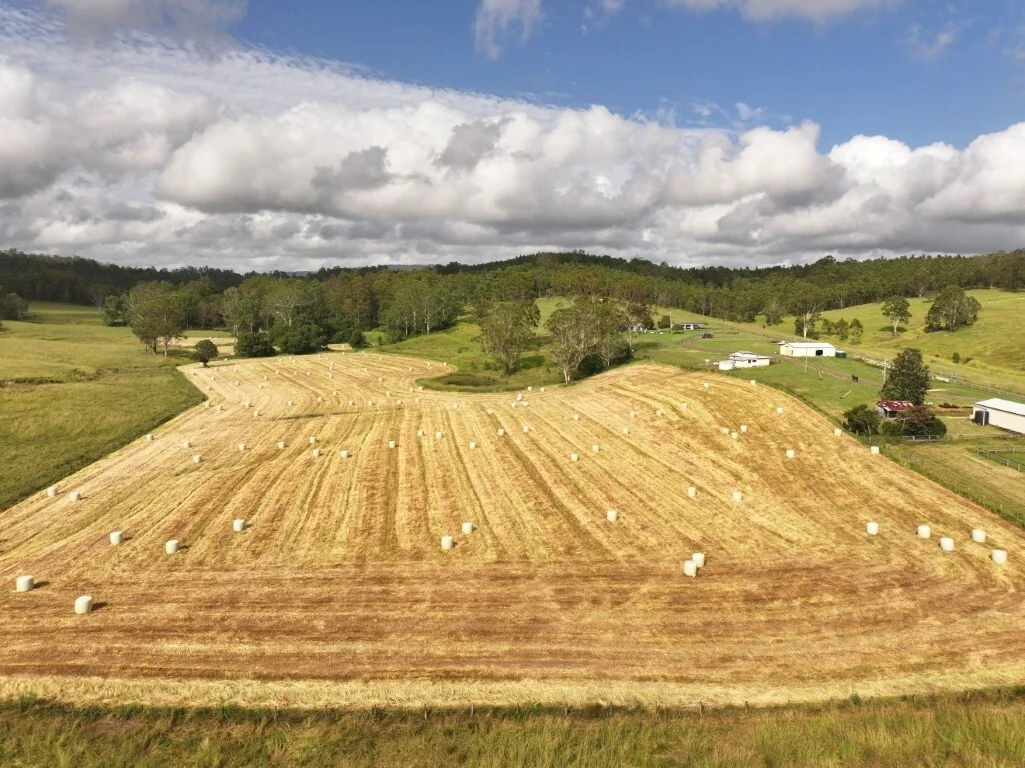 Additional image 10 of 1023 Iron Pot Creek Rd, Kyogle NSW 2474