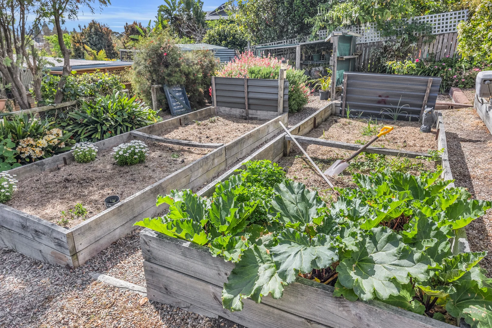 Additional image 18 of 104 Lamont Street, Bermagui NSW 2546