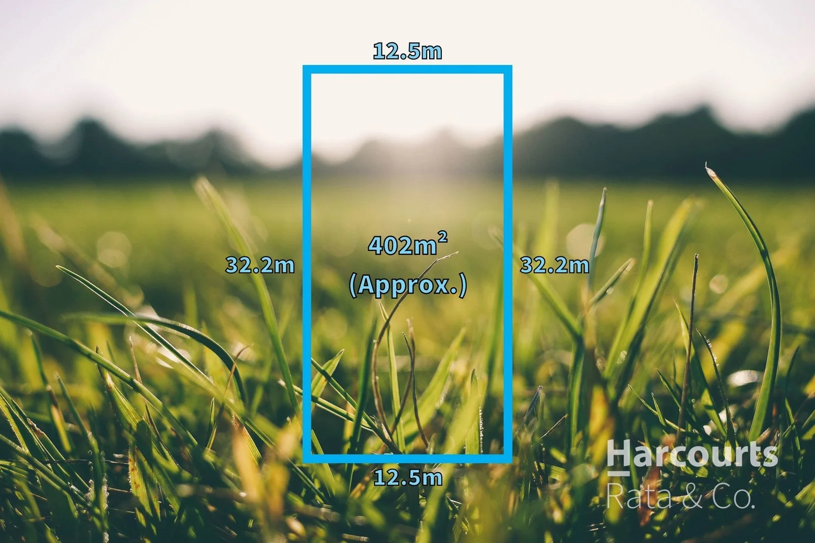 25 Georgina Avenue, St Leonards VIC 3223