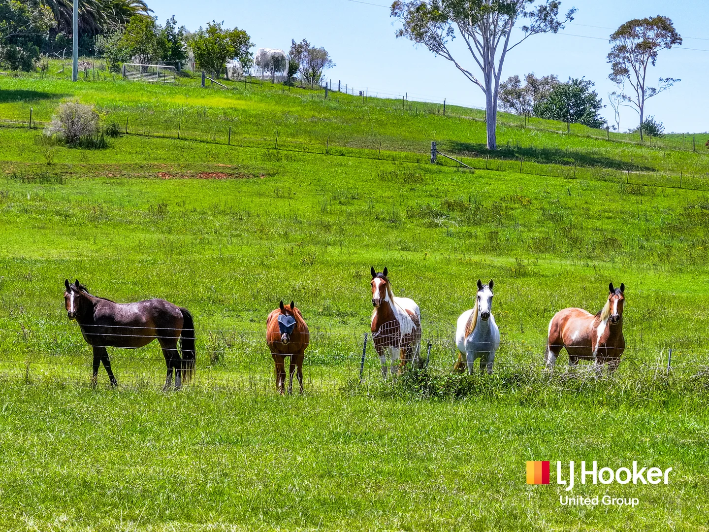 Additional image 11 of 1370 Menangle Road, Maldon NSW 2571