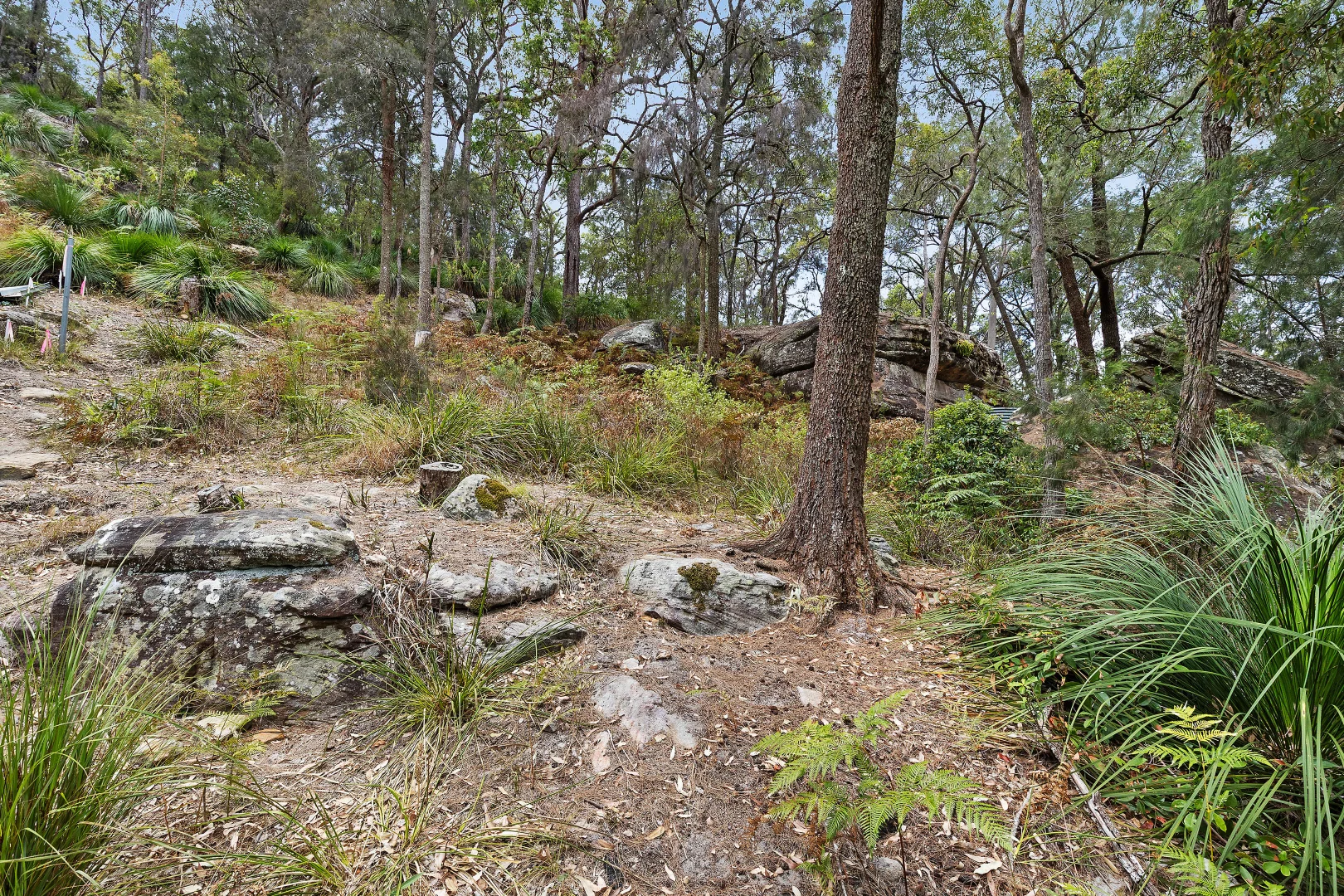 Additional image 7 of 113 Kalinda Road, Bar Point NSW 2083