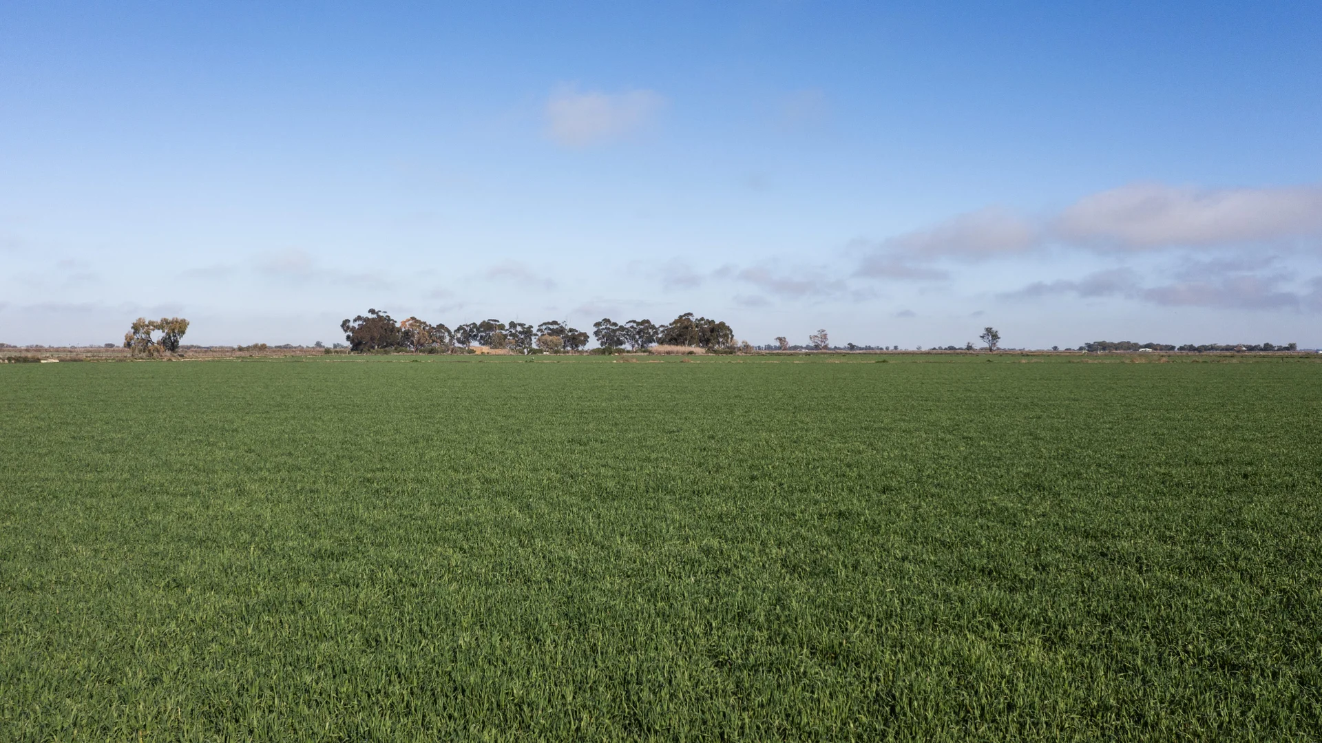 Additional image 12 of Lot 1 Farm/360 Condon Rd, Bilbul NSW 2680