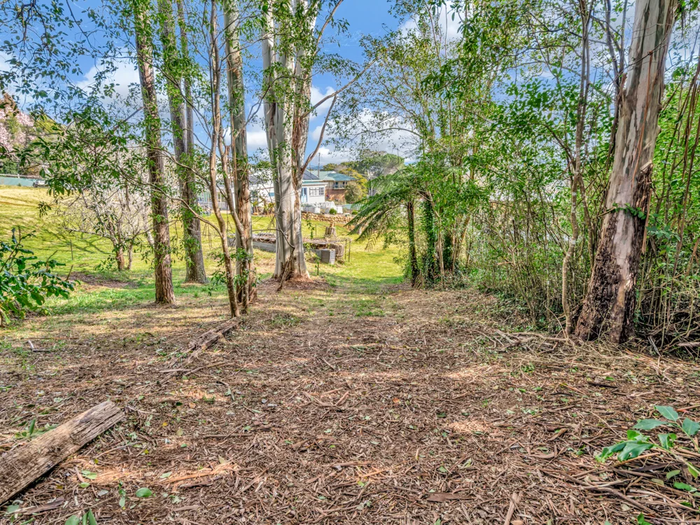 Additional image 17 of 25 Beech Street, Dorrigo NSW 2453