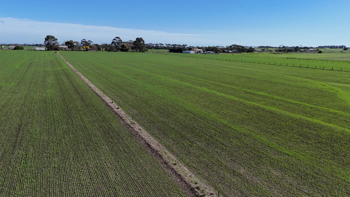 Additional image 5 of 321 Larpent Road, Cororooke VIC 3254