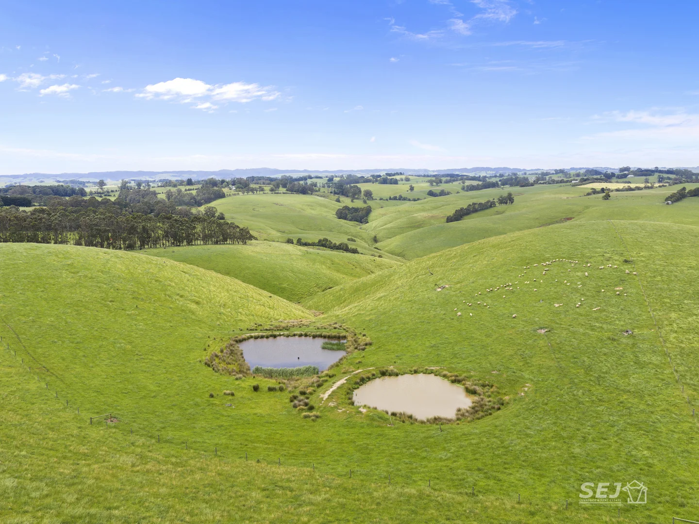 Additional image 16 of 105 Holmes Road, Mardan VIC 3953