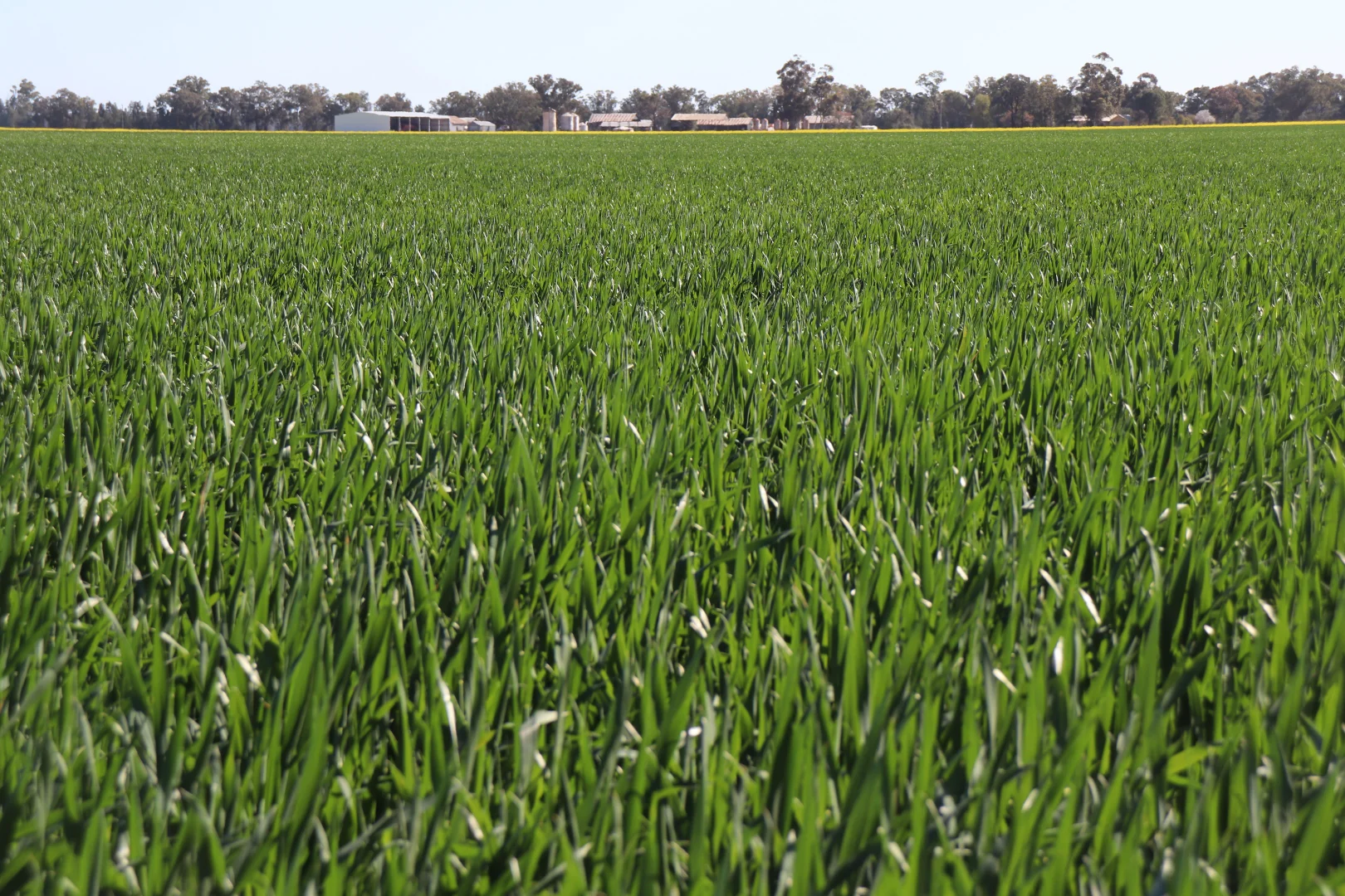 Additional image 25 of 349 Warregal Road, Parkes NSW 2870