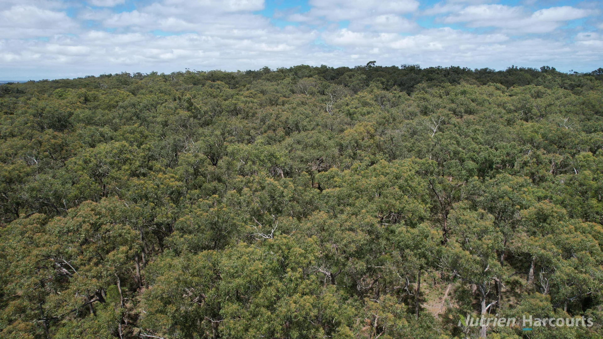 Additional image 5 of "Myamyn West" Myamyn Road, Hotspur VIC 3303