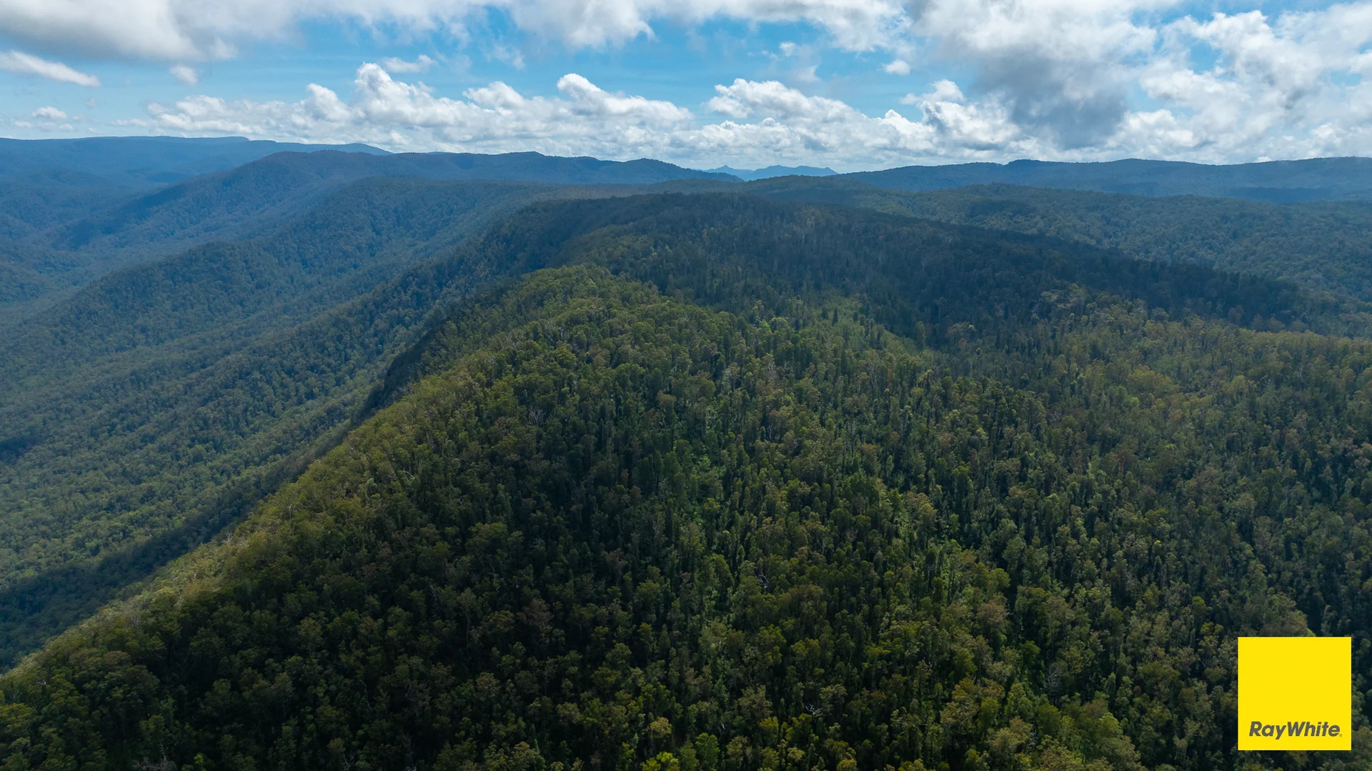 Additional image 20 of Lower Creek NSW 2440