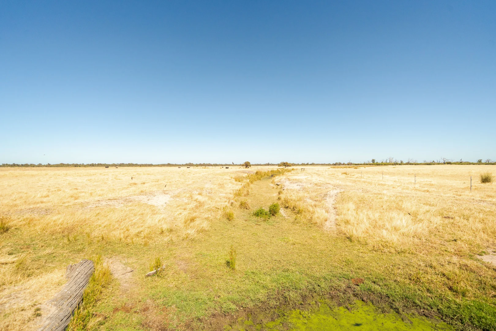 Additional image 26 of 1081 Buller Road, Waroona WA 6215