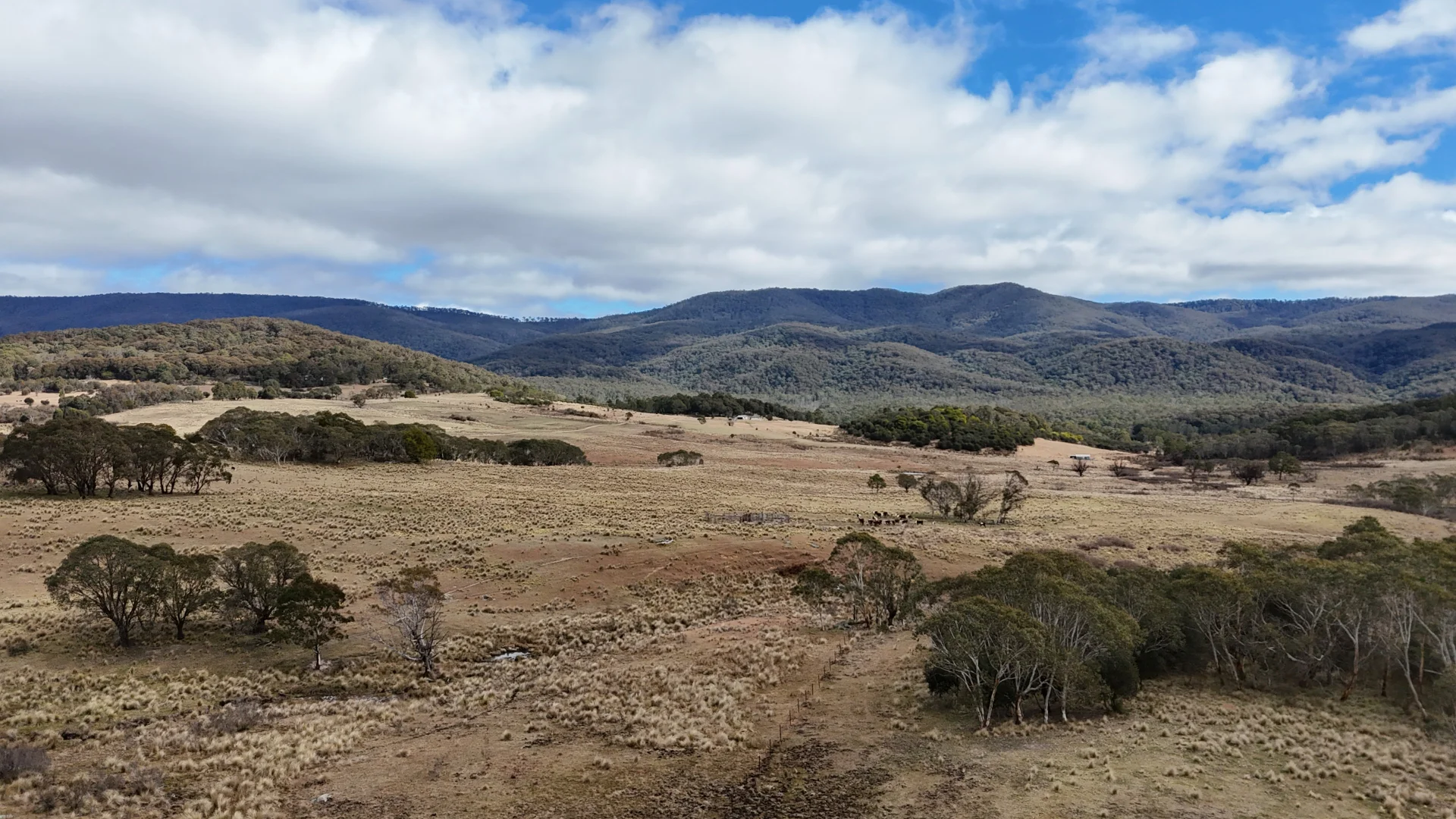 Additional image 3 of 102 Kain Cross Road, Braidwood NSW 2622