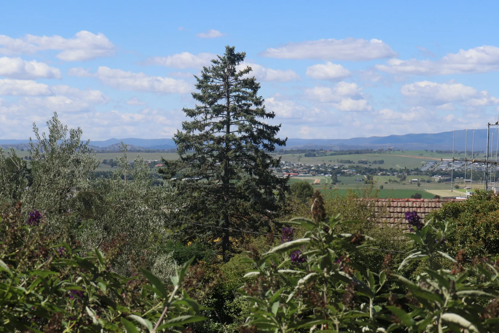 Additional image 28 of 8 McKell Street, West Bathurst NSW 2795