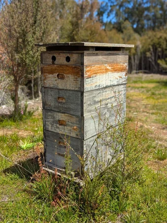 Additional image 11 of Strathblane TAS 7109