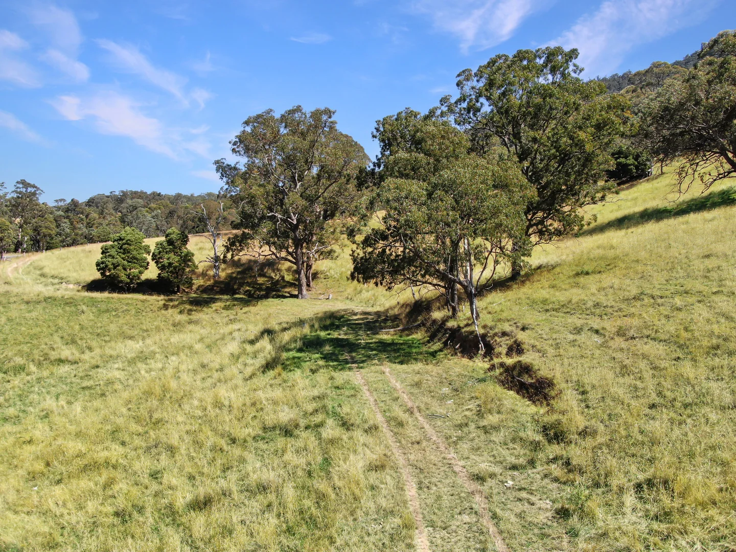 Additional image 3 of Dargo Road, Dargo VIC 3862