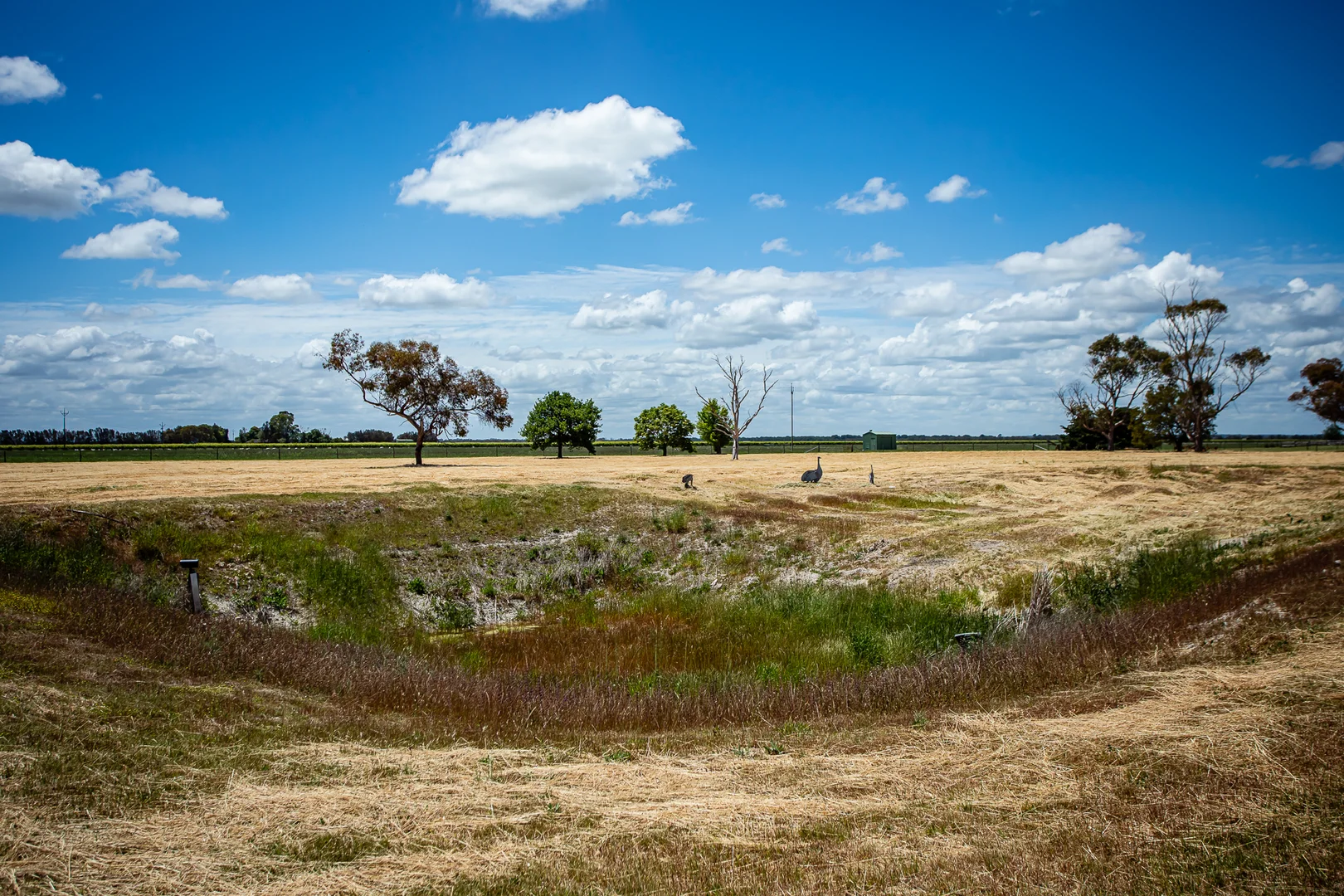 Additional image 44 of 370 Geraghty Rd, Coonawarra SA 5263
